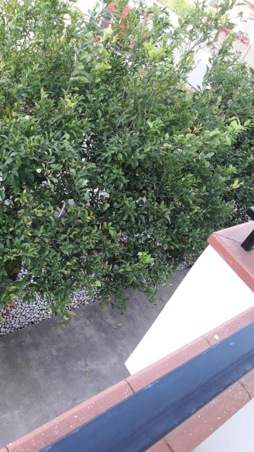 Locanda Ermes Hotel Capaccio Exterior photo